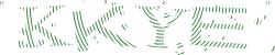Darstellung des Captcha-Codes.