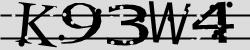 Darstellung des Captcha-Codes.