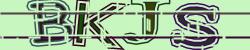 Darstellung des Captcha-Codes.