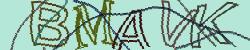 Darstellung des Captcha-Codes.