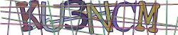Darstellung des Captcha-Codes.