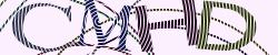 Darstellung des Captcha-Codes.