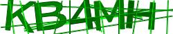 Darstellung des Captcha-Codes.