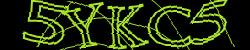 Darstellung des Captcha-Codes.