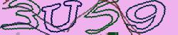 Darstellung des Captcha-Codes.
