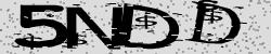 Darstellung des Captcha-Codes.