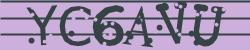 Darstellung des Captcha-Codes.