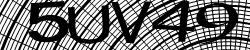 Darstellung des Captcha-Codes.