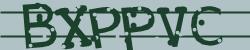 Darstellung des Captcha-Codes.