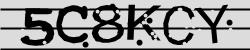Darstellung des Captcha-Codes.