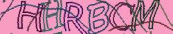 Darstellung des Captcha-Codes.