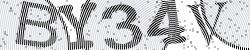 Darstellung des Captcha-Codes.