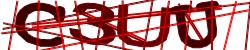 Darstellung des Captcha-Codes.