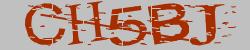 Darstellung des Captcha-Codes.