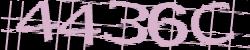 Darstellung des Captcha-Codes.