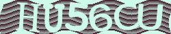 Darstellung des Captcha-Codes.
