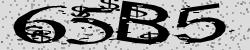 Darstellung des Captcha-Codes.