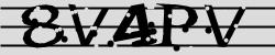 Darstellung des Captcha-Codes.