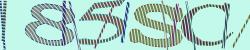 Darstellung des Captcha-Codes.