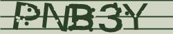 Darstellung des Captcha-Codes.
