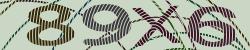 Darstellung des Captcha-Codes.