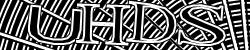 Darstellung des Captcha-Codes.