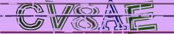 Darstellung des Captcha-Codes.