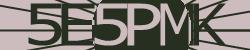 Darstellung des Captcha-Codes.