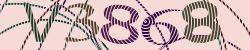 Darstellung des Captcha-Codes.
