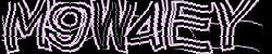 Darstellung des Captcha-Codes.
