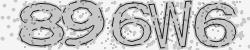 Darstellung des Captcha-Codes.