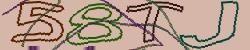 Darstellung des Captcha-Codes.