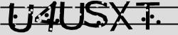 Darstellung des Captcha-Codes.