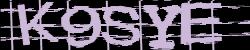 Darstellung des Captcha-Codes.