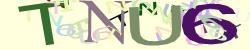 Darstellung des Captcha-Codes.