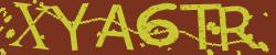 Darstellung des Captcha-Codes.