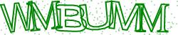 Darstellung des Captcha-Codes.