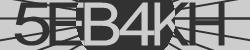 Darstellung des Captcha-Codes.
