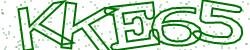Darstellung des Captcha-Codes.