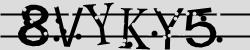 Darstellung des Captcha-Codes.