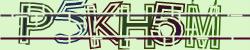 Darstellung des Captcha-Codes.