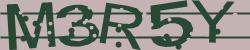 Darstellung des Captcha-Codes.