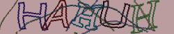 Darstellung des Captcha-Codes.