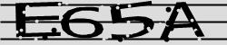 Darstellung des Captcha-Codes.