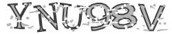 Darstellung des Captcha-Codes.