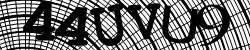 Darstellung des Captcha-Codes.