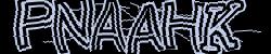 Darstellung des Captcha-Codes.