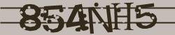 Darstellung des Captcha-Codes.