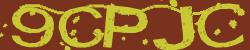 Darstellung des Captcha-Codes.