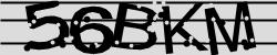 Darstellung des Captcha-Codes.